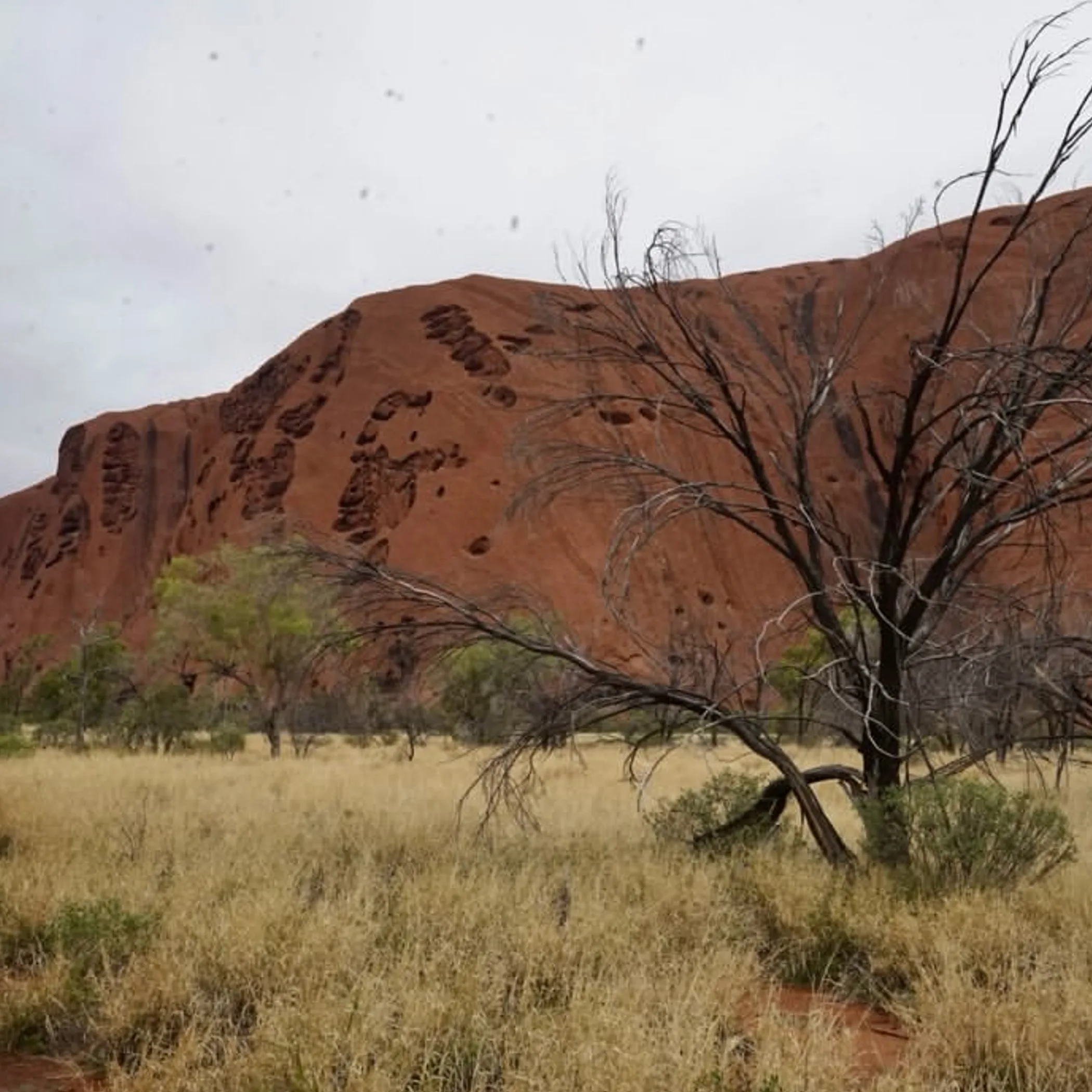 uluru rock formation under clear sky