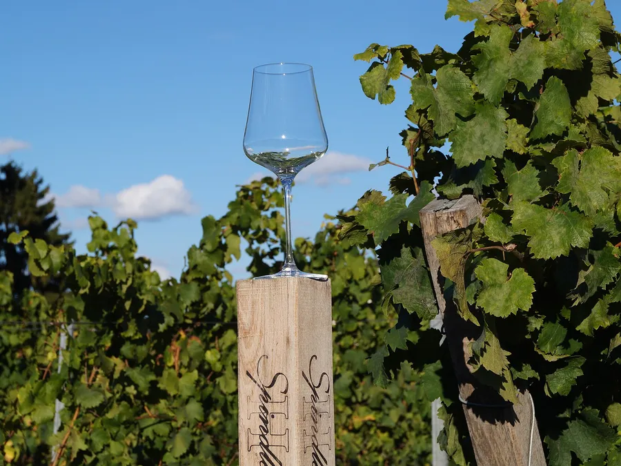 On Wine Tours — detail