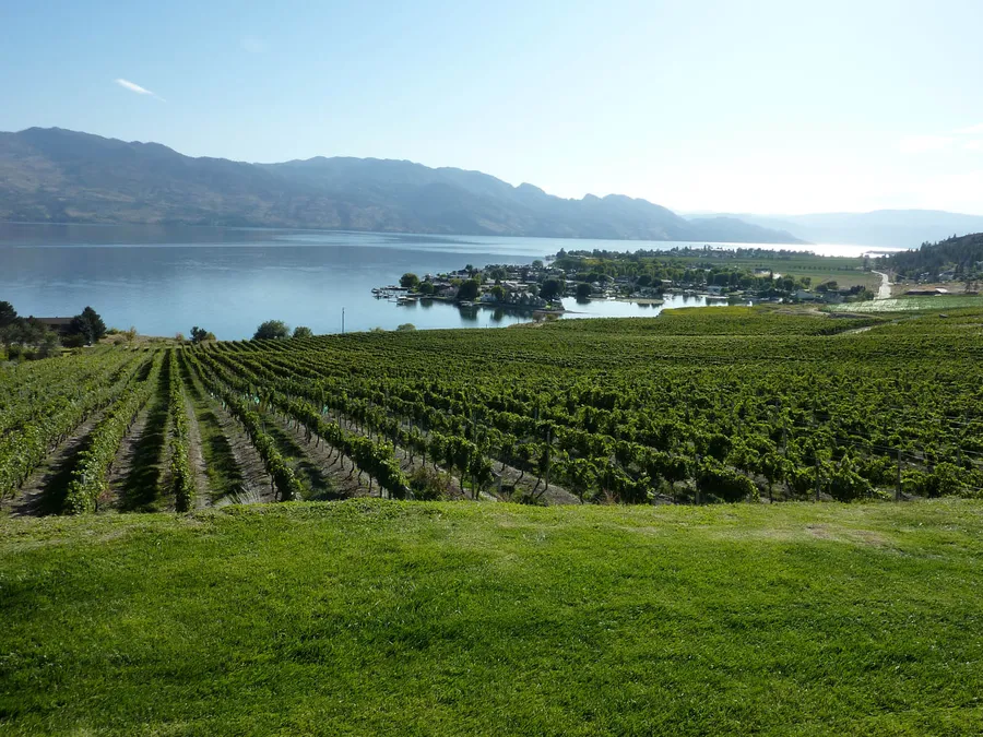 On Wine Tours