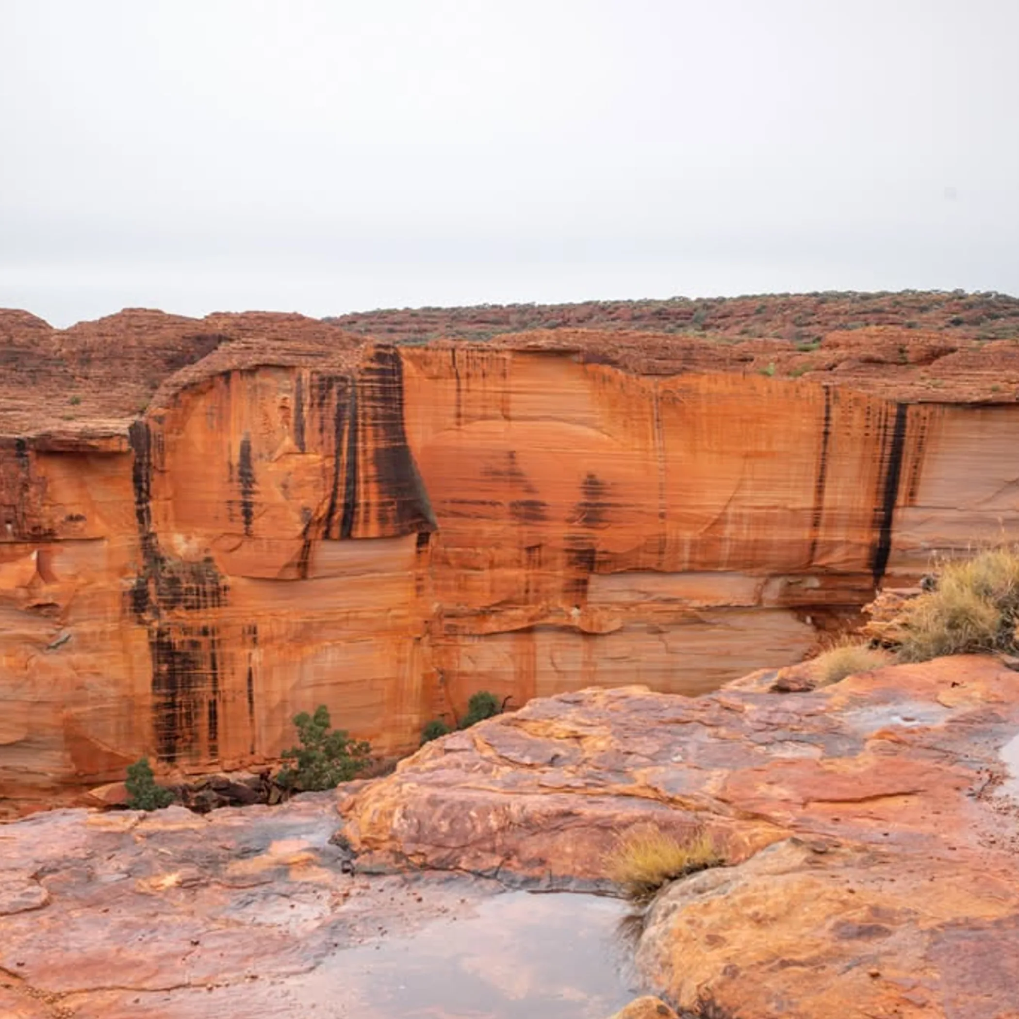 kings canyon landscape with rocky cliffs