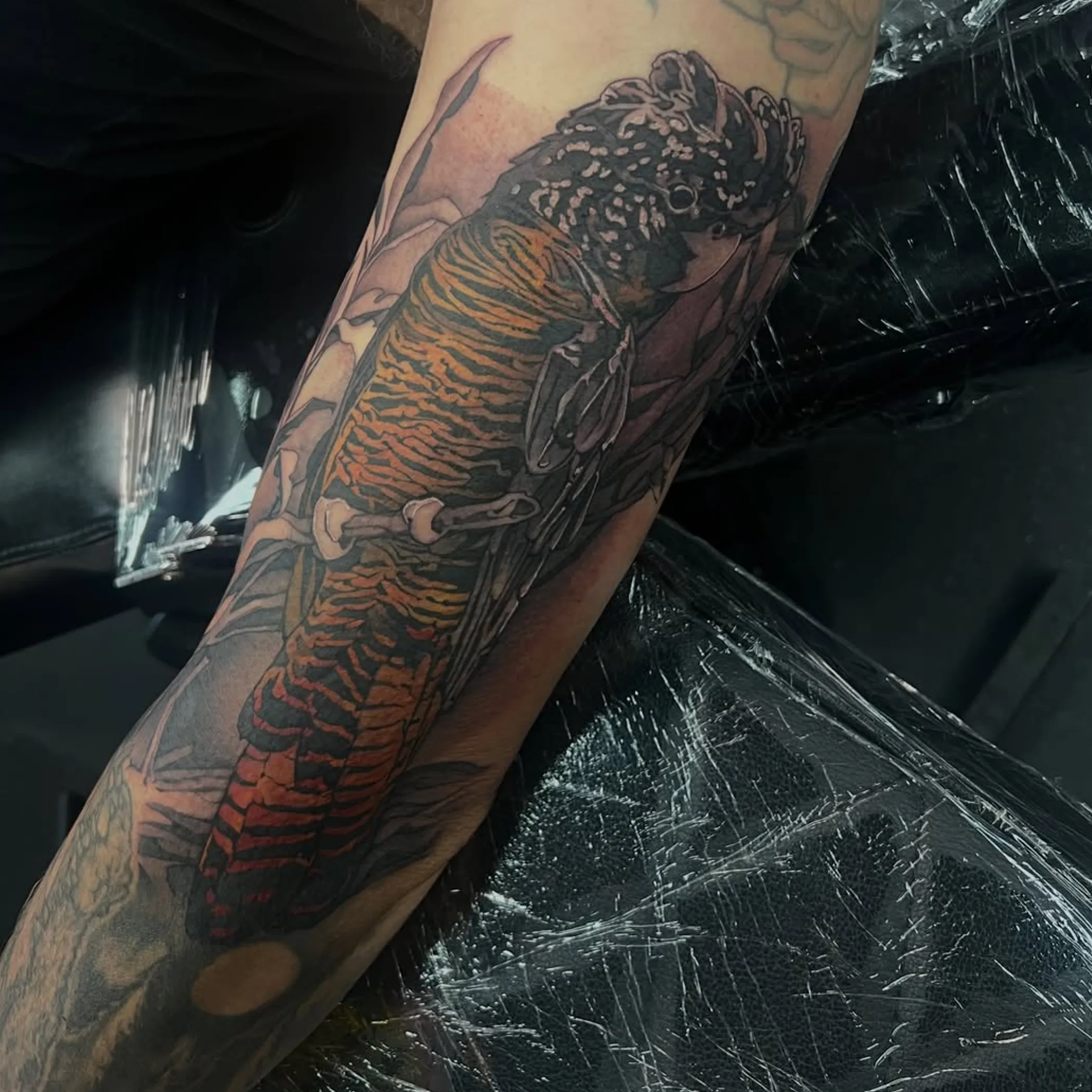 black cockatoo tattoo